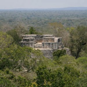 Calakmul Biosphere Preserve in Mexico