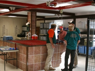 Wild Animal Sanctuary black bear dental treatment