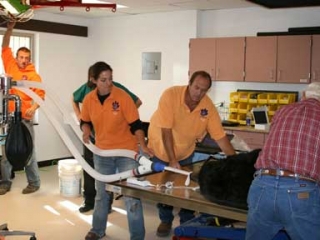 Wild Animal Sanctuary black bear dental treatment